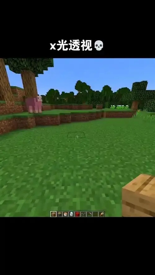 Minecraft透视方法教程