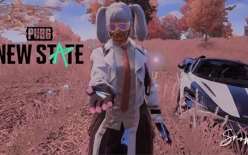 pubg卡盟平台官网入口,安全可靠游戏外挂服务