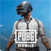 PUBG龙猫直装v7