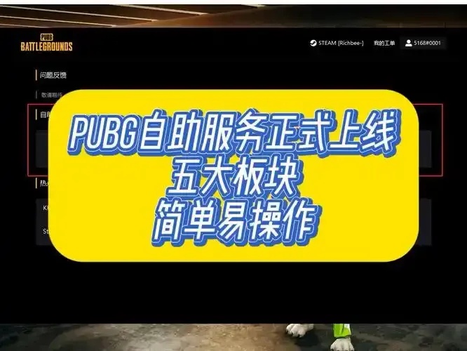 pubg自助服务平台