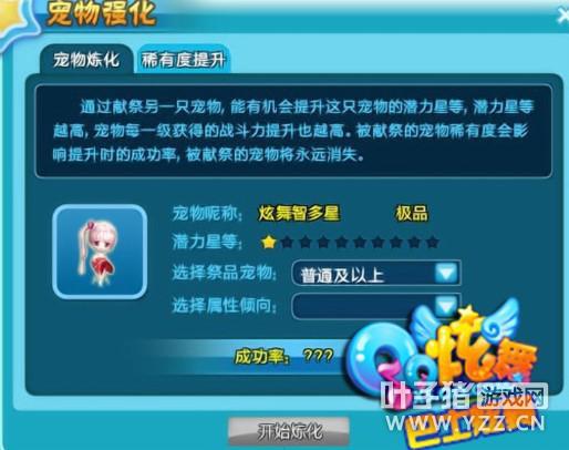 qq炫舞辅助宠物有哪些种类大全