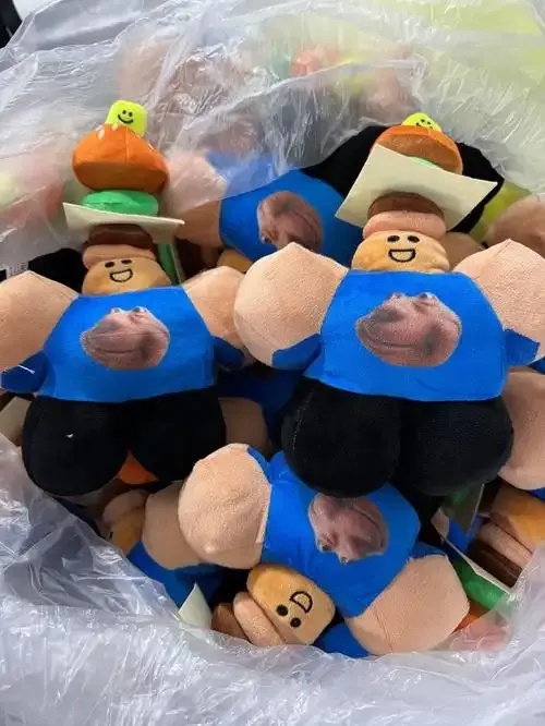 roblox的产品:全面解析与应用