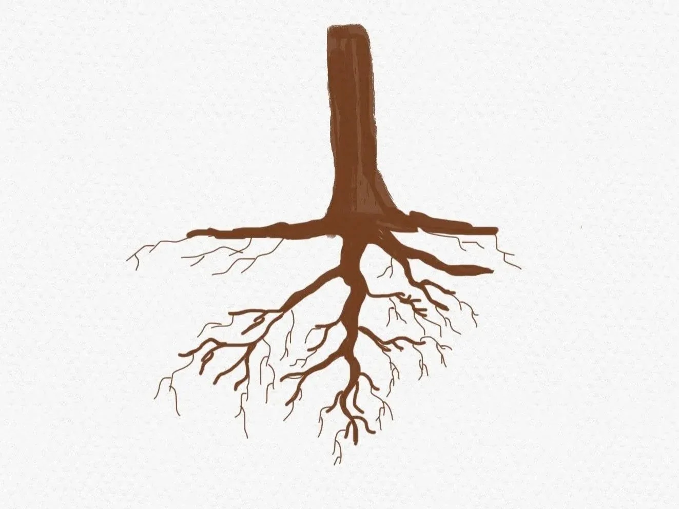 root英雄联盟攻略:掌握这些技巧成为大神