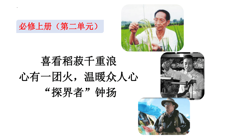 rust辅助卡盟竟如此简单?揭秘背后的灰色交易!