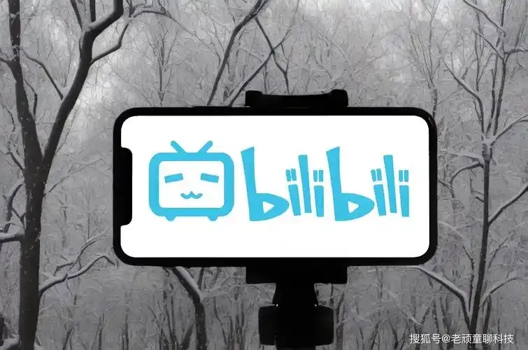 www.bilibili.com:二次元世界隐藏的惊人秘密!