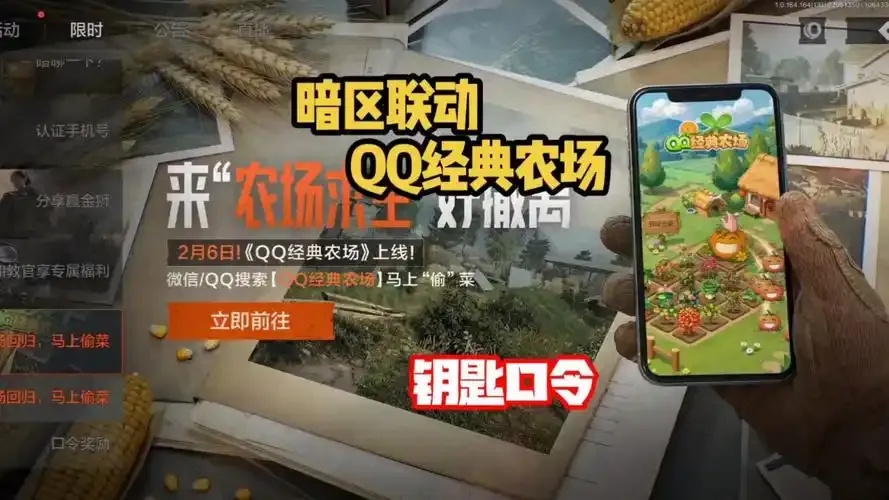 暗区出号要连qq一起出吗