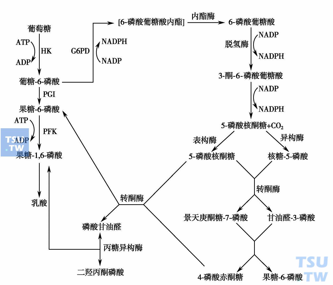 暗区入坑指南