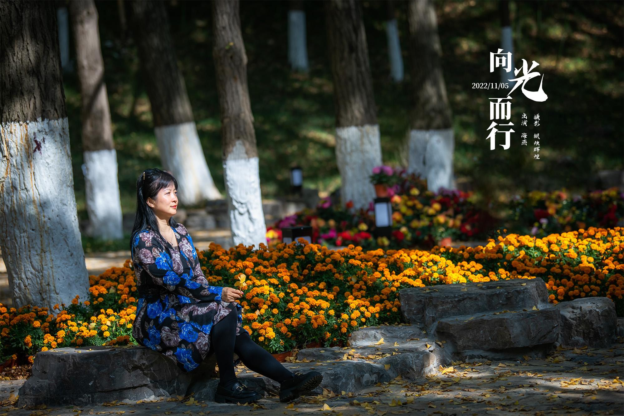 暗区数据号购买:这些交易背后隐藏着什么秘密?