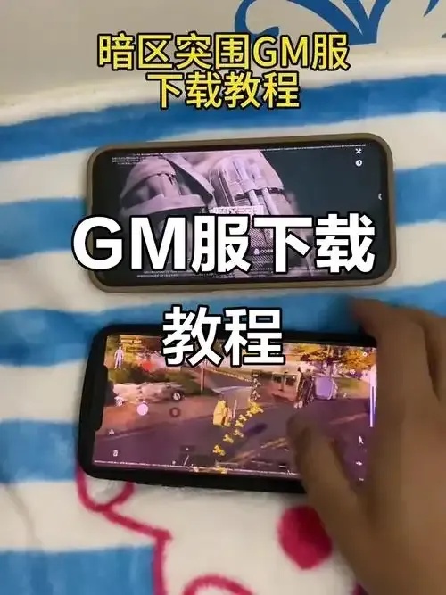 暗区突围GM服Gm版游戏特色解析