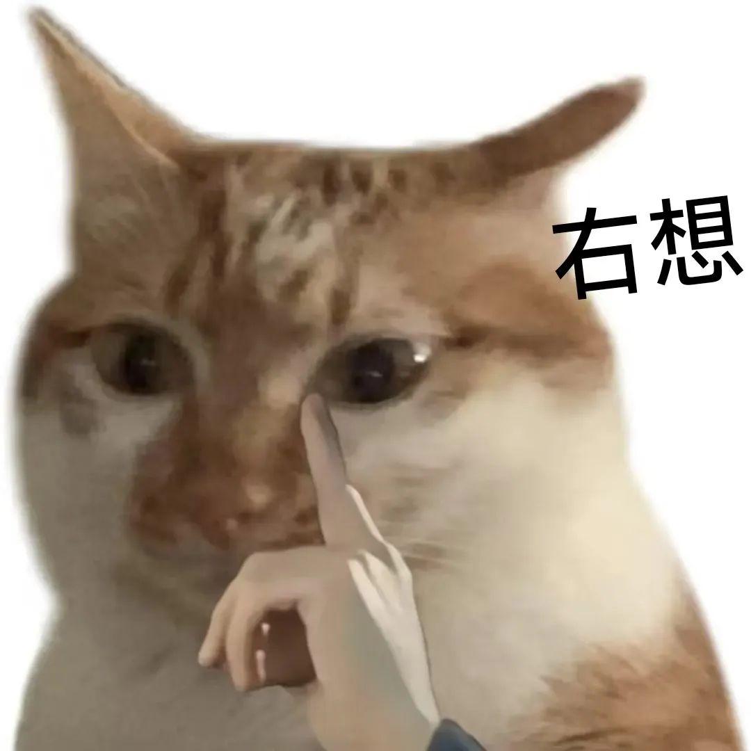 暗区突围仅透视:揭秘特殊模式玩法与体验