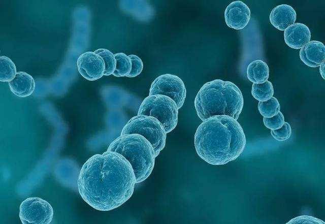暗区突围科技:前沿突围策略解析