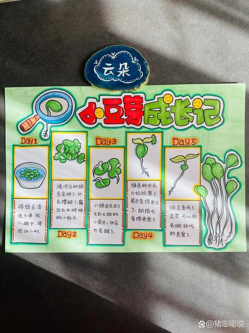 暗区突围玩家指南