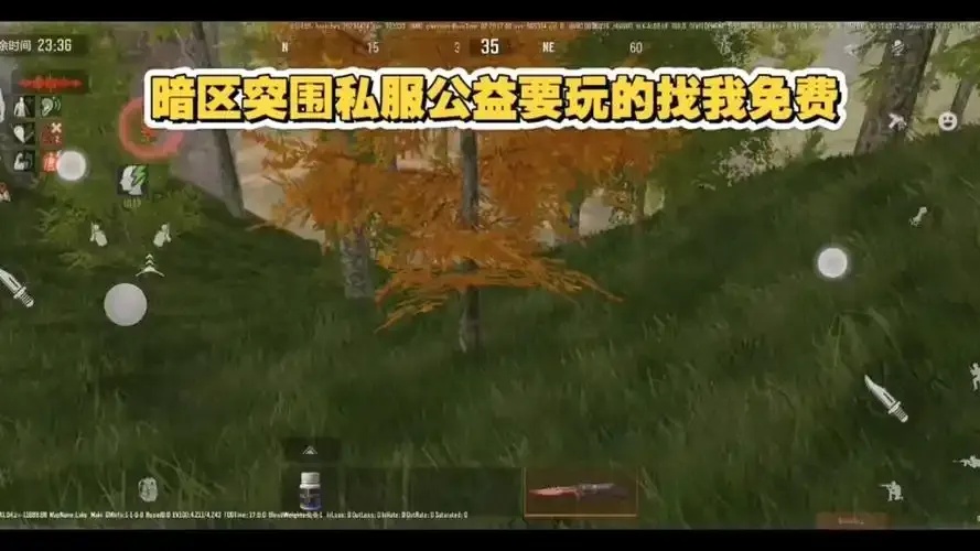 暗区突围直装内部:深度解析