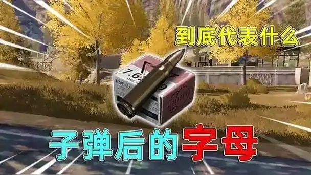 暗区突围子弹穿墙:物理特性解析与爆破游戏技巧