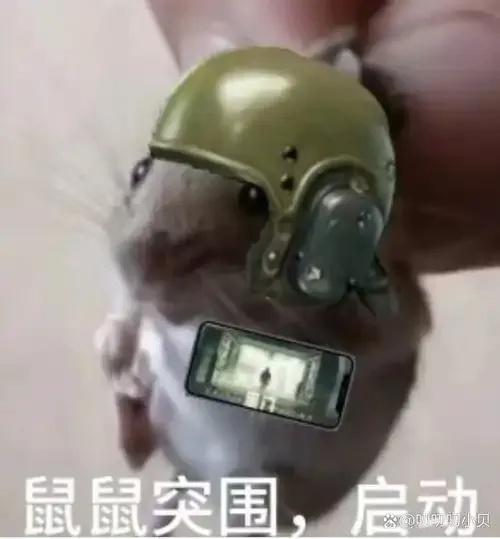 暗区微信qq互通吗_2