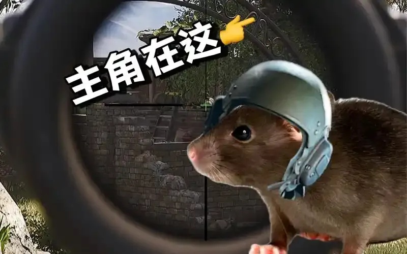 暗区微信小游戏生死时速