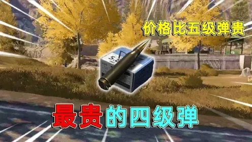 暗区最豪华账号_2