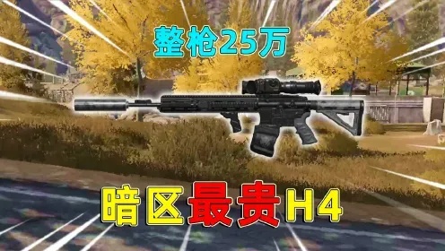 暗区最有钱的号是什么?《暗区突围》壕无人性账号盘点
