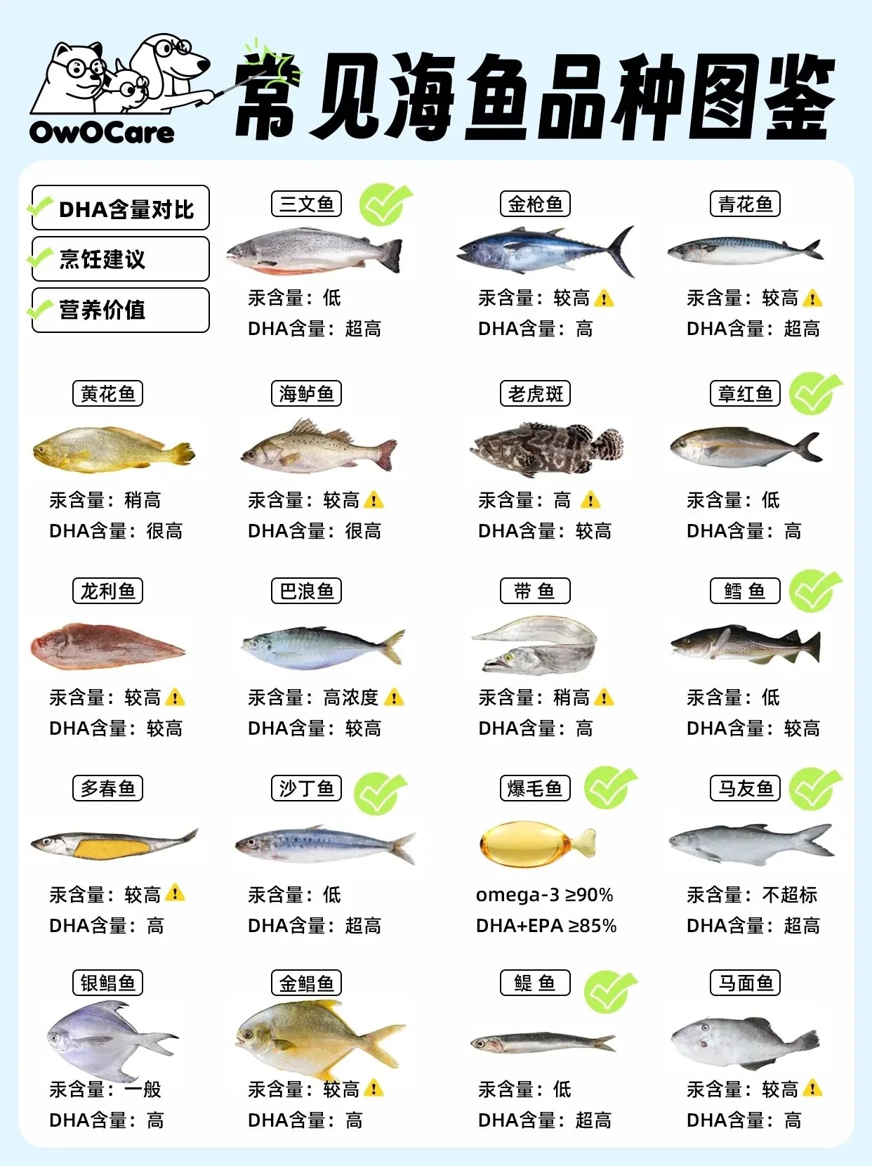 白夜极光辅助回血谁最强?