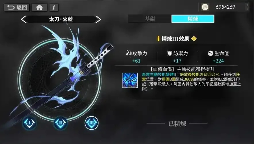 白夜极光公司官方网站简介与深度解析