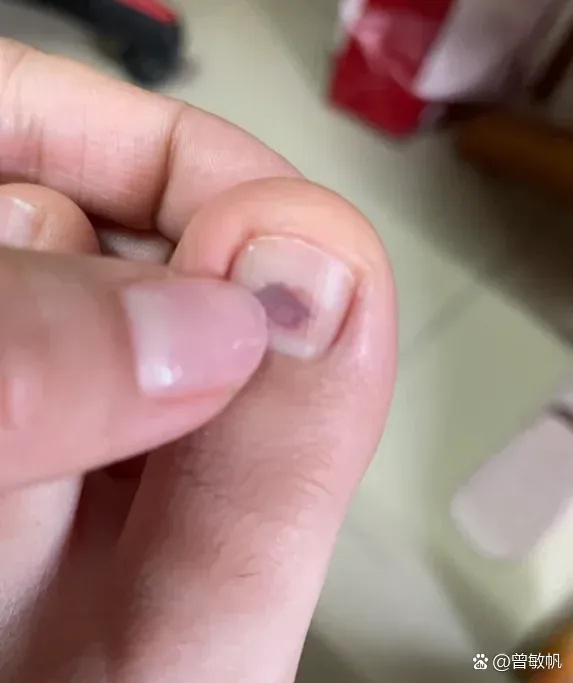 白夜极光台词:揭开那些颠覆认知的秘密!