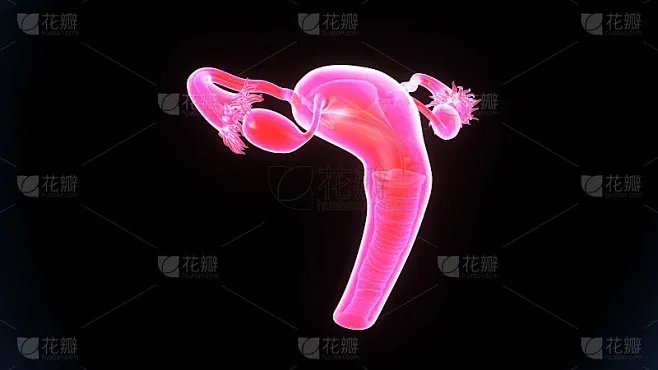 白夜极光洋大人为何迷人