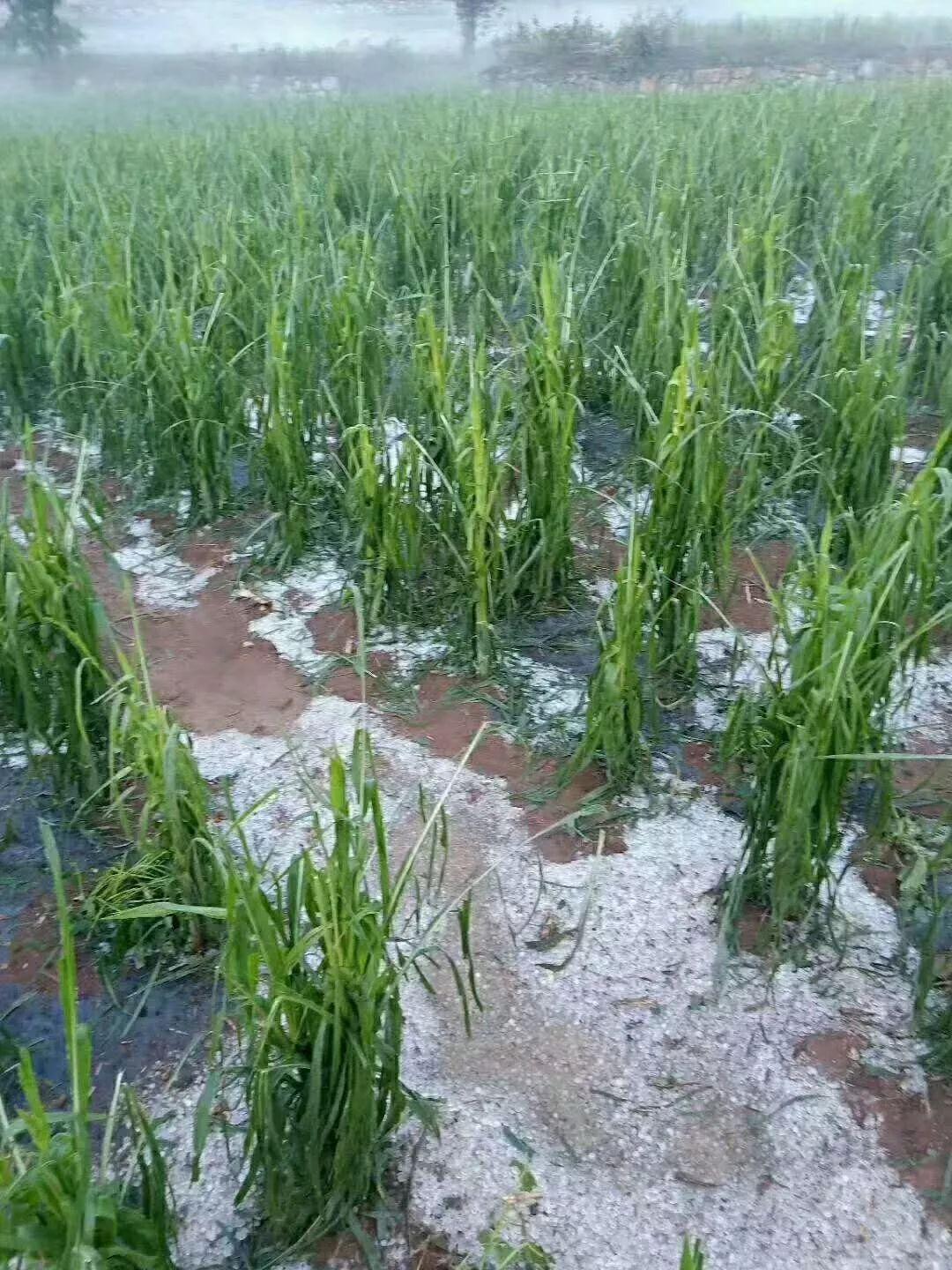崩坏星穹铁道辅助科技实用指南全解析