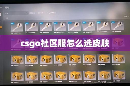 畅享CSGO免费社区服,尽情游戏无需付费!