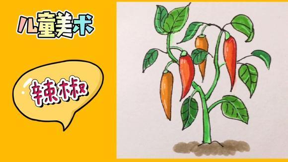 超凡先锋挂直装