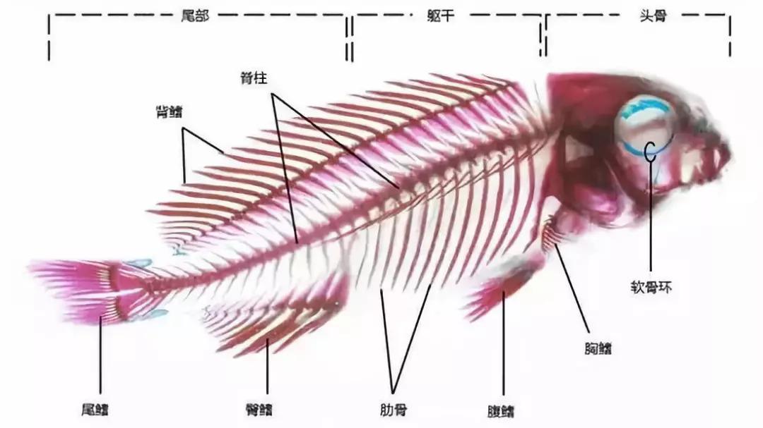 超凡先锋卡盟探秘