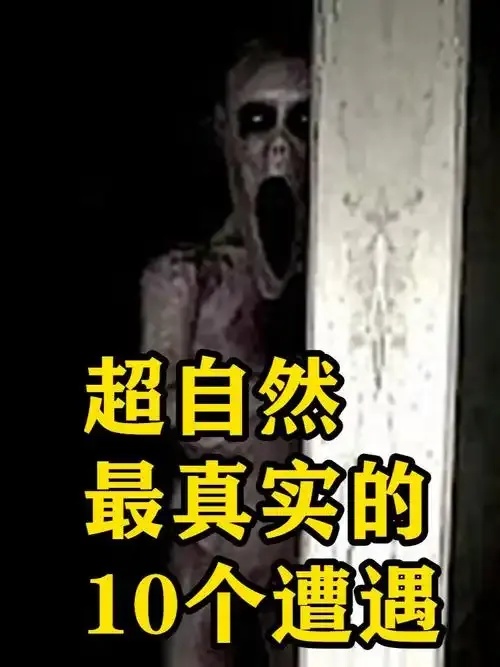 超自然行动组PC端外挂免费版下载