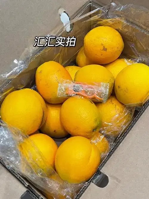 橙子直装2.0新升级