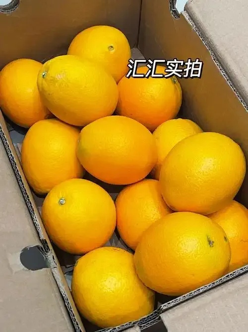 橙子直装v1.9