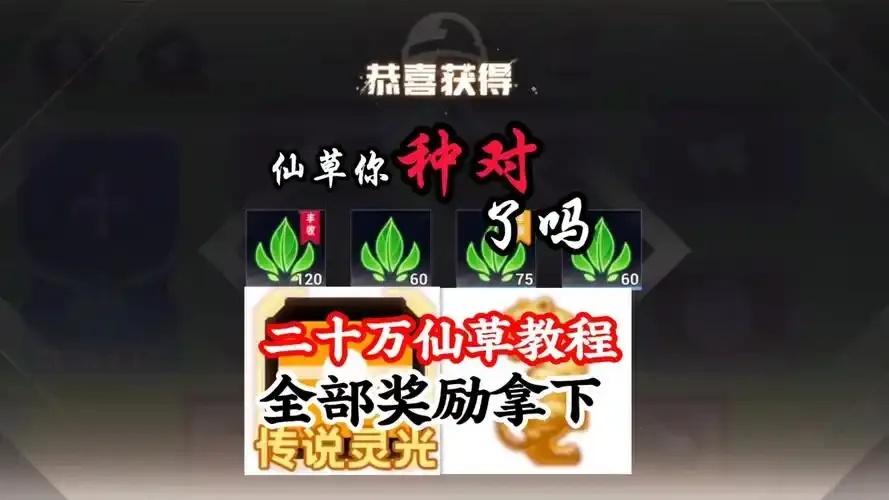 吃丹修仙》最新脚本下载全集资源