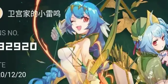 池鸳原神直装使用方法全解析