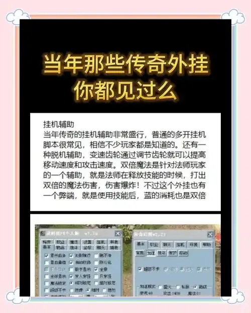 传奇辅助收费挂软件介绍
