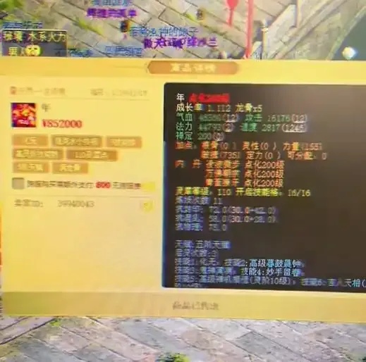大话西游2辅助购买攻略