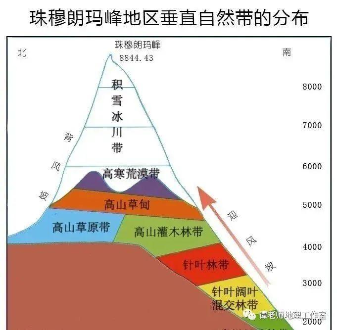 蛋仔派对辅助安装
