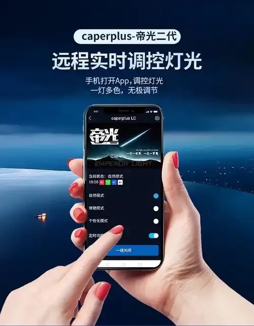 灯火辅助服务官网:专业网站收录与支持平台