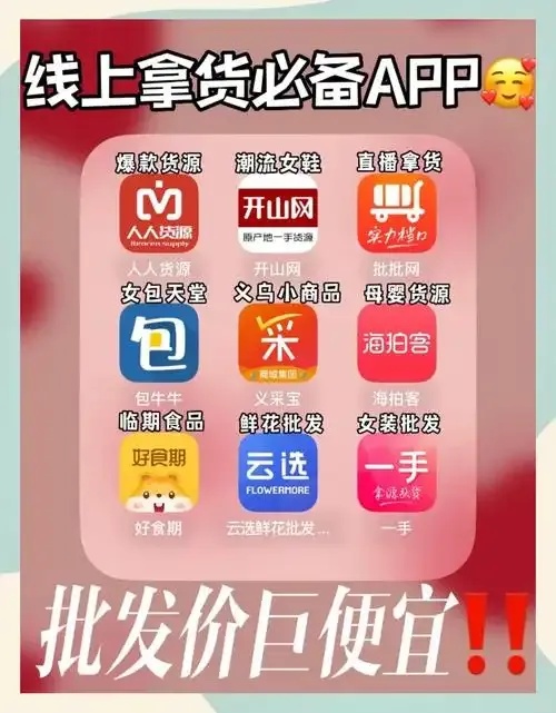低价辅助货源网app：揭秘背后的真相与实战攻略