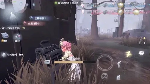 第5人格透视挂怎么用,功能解析与使用体验分享