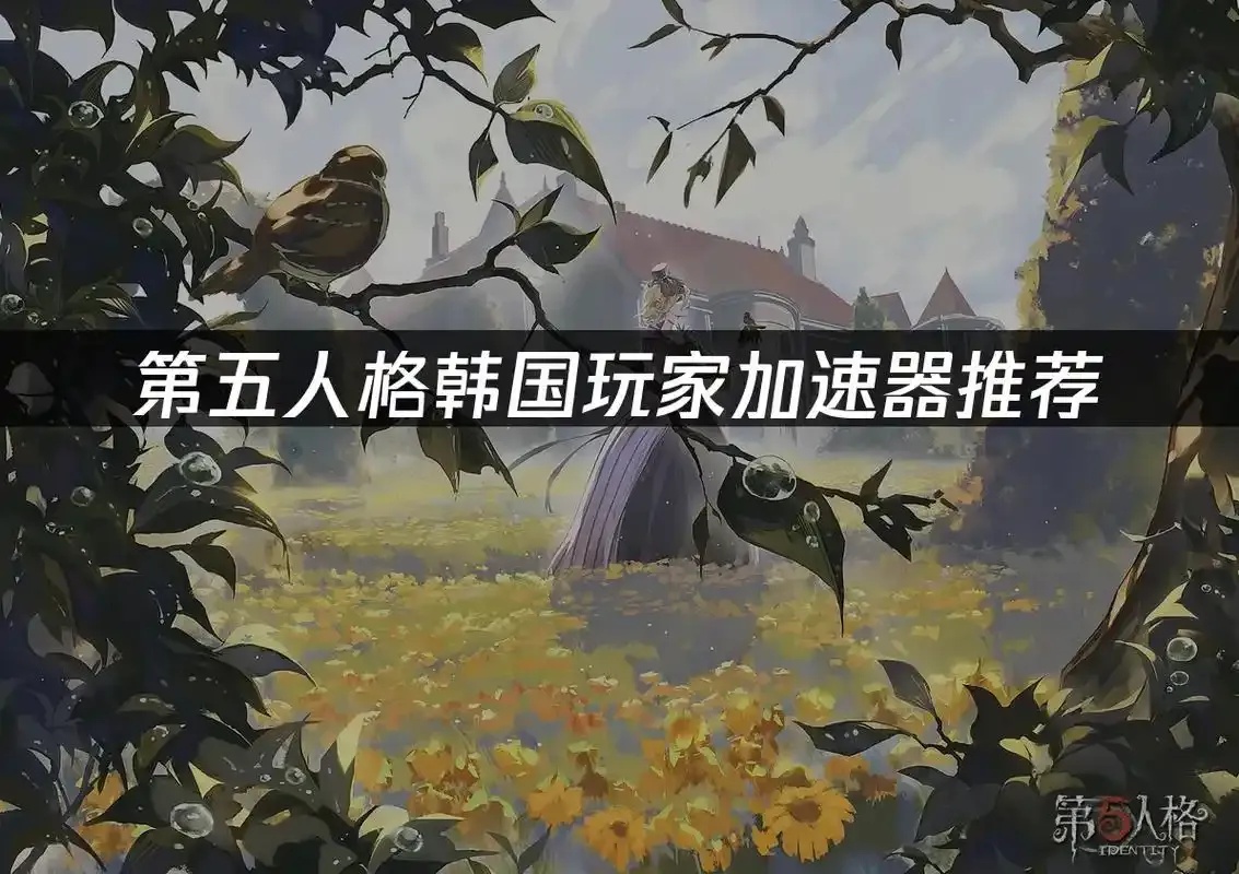 第五人格pc端加速器评测：畅享丝滑游戏体验