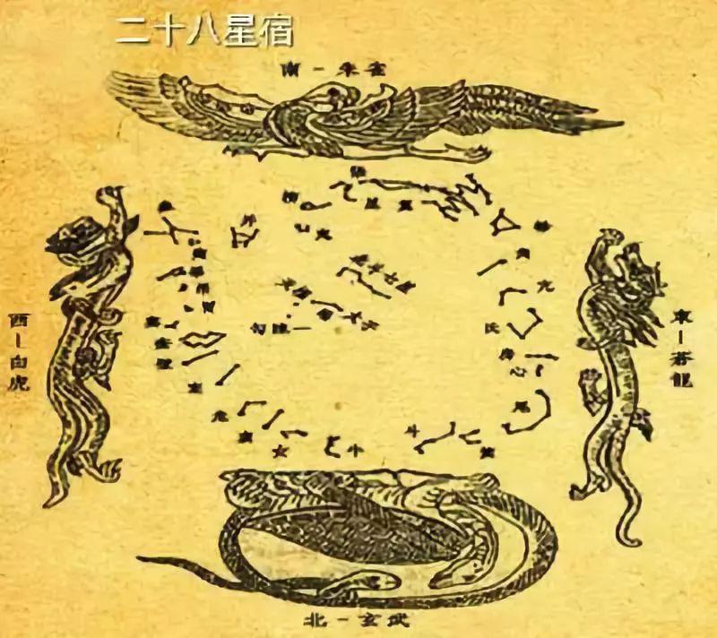第五人格小熊猫v4最新版本更新内容分