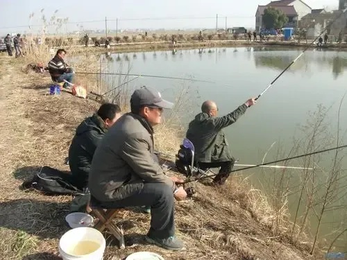 钓鱼联盟论坛精华钓鱼技巧分享