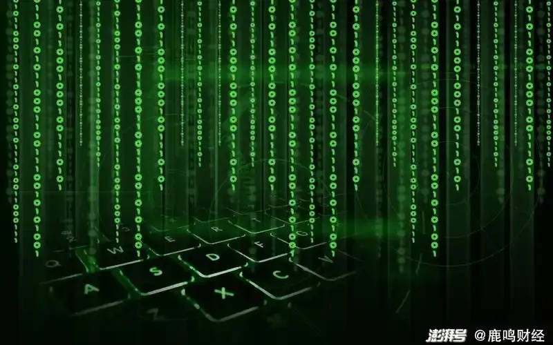 洞见科技