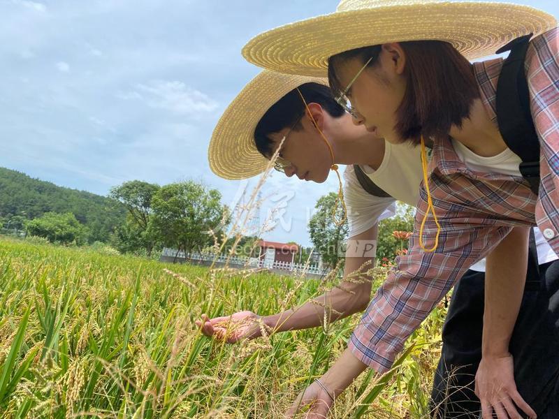 抖音直装8.7版免费玩-和平精英最新攻略