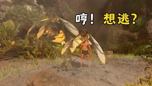 方舟飞升外挂,封号怎么办?