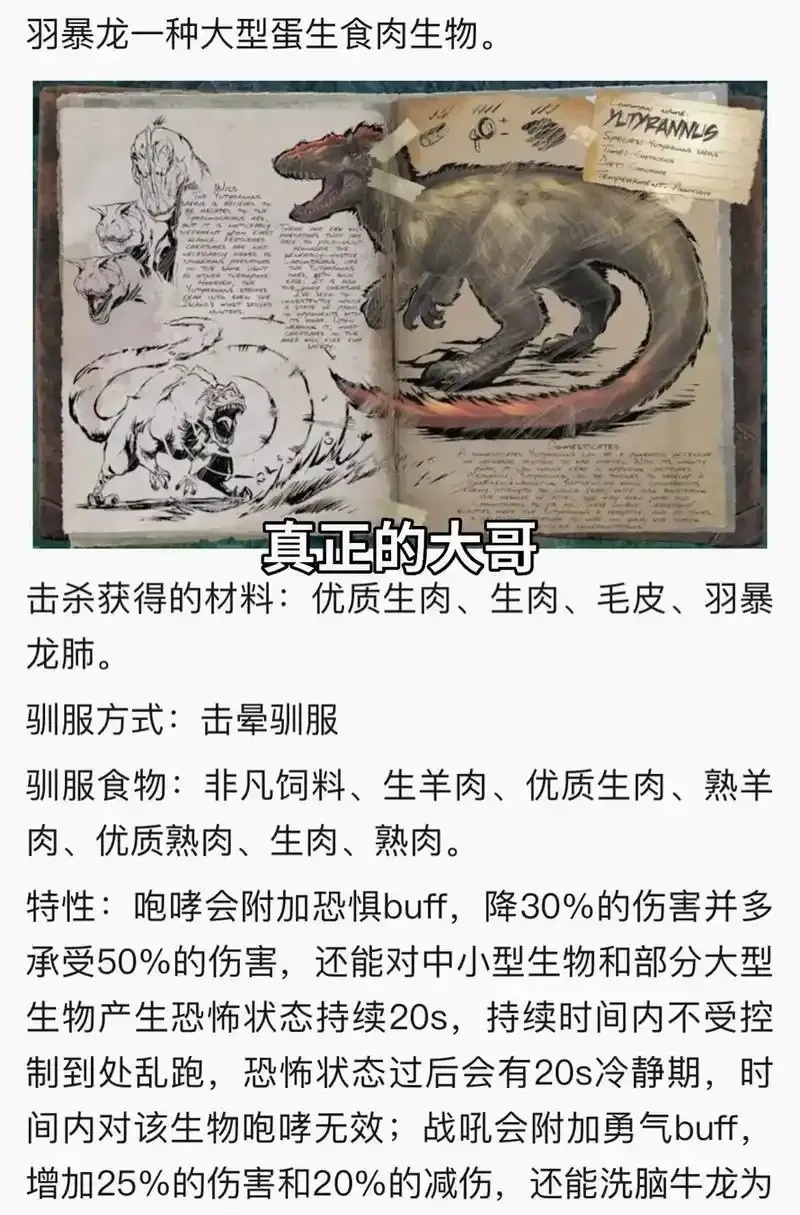 方舟生存进化投石车弹药制作方法