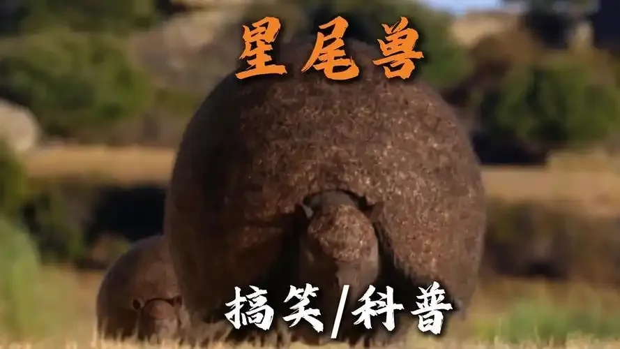 方舟星尾兽图鉴