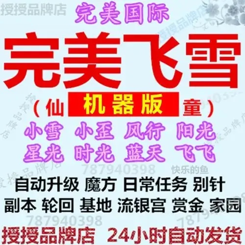 飞雪辅助官网,专业工具下载与功能解析